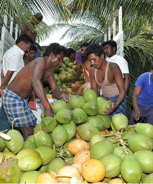 மரத்தடி மாநாடு: உச்சத்தில் பெரிய வெங்காயம்... கலக்கத்தில் மத்திய அரசு!