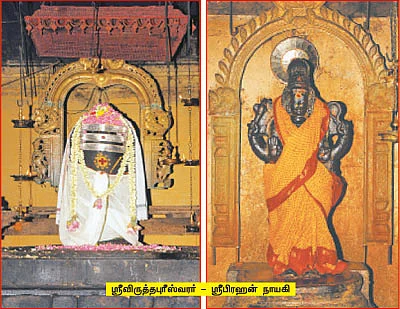 ஆரோக்கியம் அருளும் ஆலய விருட்சங்கள்!
