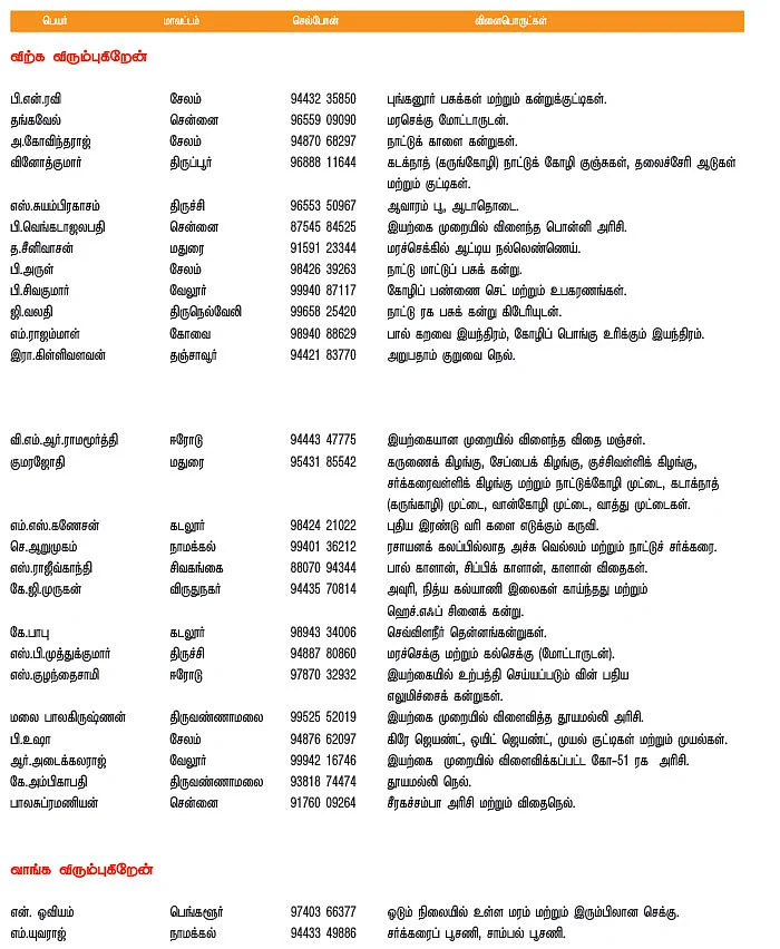 பசுமை சந்தை
