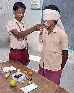 சுவையைச் சொல்லு,மதிப்பீட்டை அள்ளு!