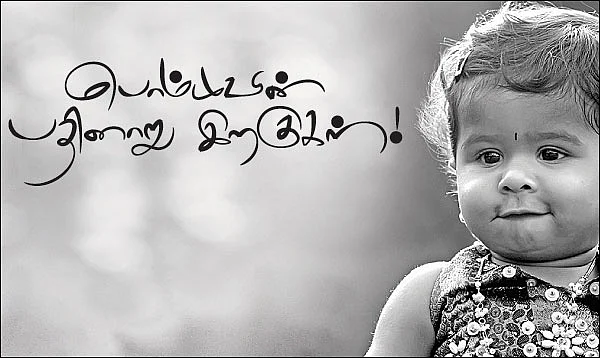 பொம்முவின் பதினாறு இறகுகள் !