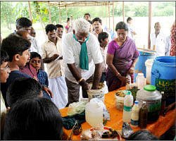 சுறா மீன்களை வளர்த்து விற்பனை செய்ய முடியுமா?