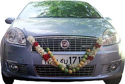 என் லீனியா திரும்பக் கிடைக்குமா?