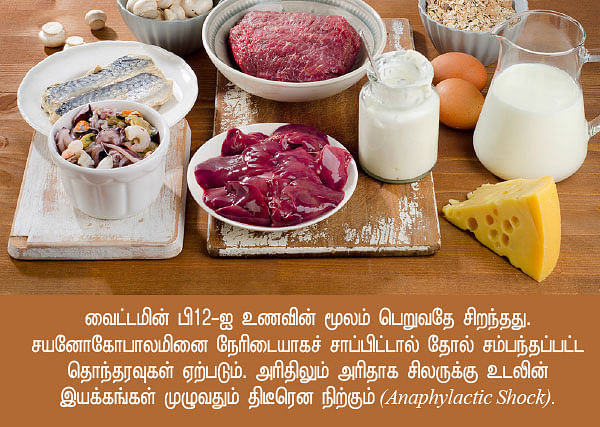 வைட்டமின் சீக்ரெட்ஸ் - 13