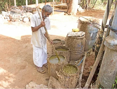 பஞ்சகவ்யா