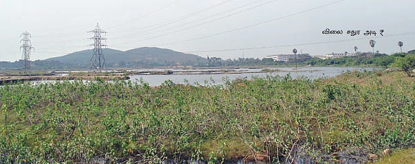 புறநகர் ரவுண்டுஅப்