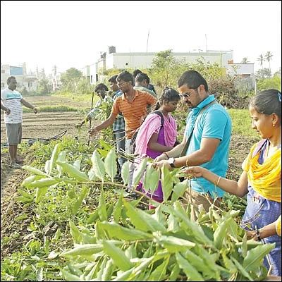 ஒரு நாள் விவசாயி! பருவம்-2 - அசத்தும் கீரை சாகுபடி!