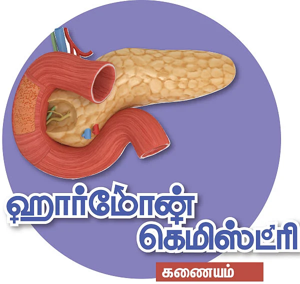 ஹார்மோன் கெமிஸ்ட்ரி - கணையம்