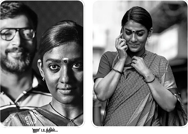 மிஸ்டர் மியாவ்