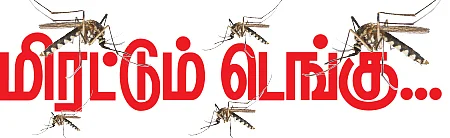 மிரட்டும் டெங்கு