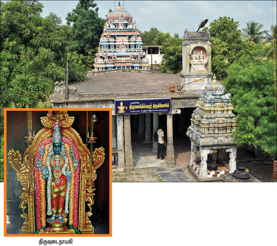 தரிசிப்போம்