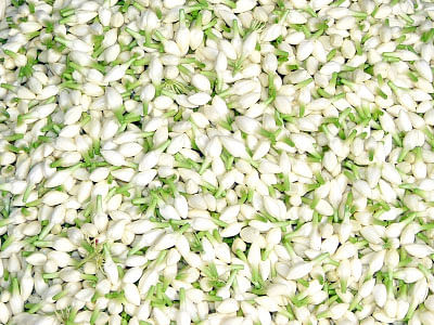 மரத்தடி மாநாடு: மது ஒழிப்பும்...மகான் கதையும்!