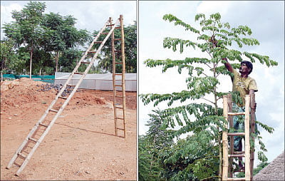 நீங்கள் கேட்டவை