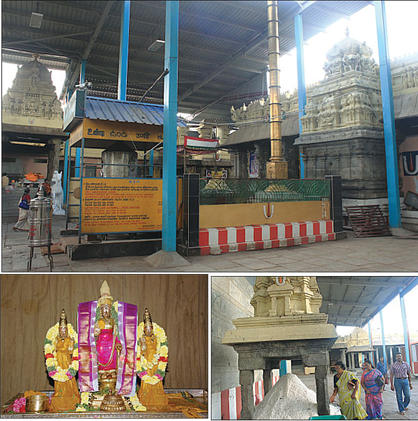 நோய் தீர்க்கும் வைத்தியன்!