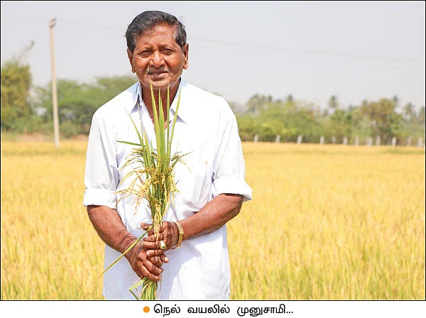 விருது வாங்கிக் கொடுத்த ஒற்றை நாற்று நடவு!