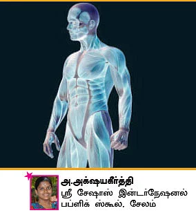 சுட்டி ஸ்டார் நியூஸ்