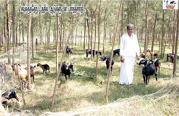 ஒப்பில்லா வருமானம் தரும் ஒருங்கிணைந்தப் பண்ணையம்!