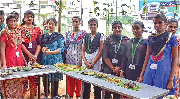 கல்லூரியில் நடந்த உணவுத் திருவிழா! - முடக்கத்தான் தோசை, மூங்கில் அரிசி பாயசம்...