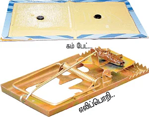 கரப்பான்பூச்சி, எலி, பல்லி, எறும்பு...