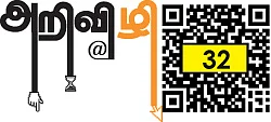 அறிவிழி