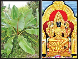 கண்ணன் நாமம் சொல்லும் கதைகள்!
