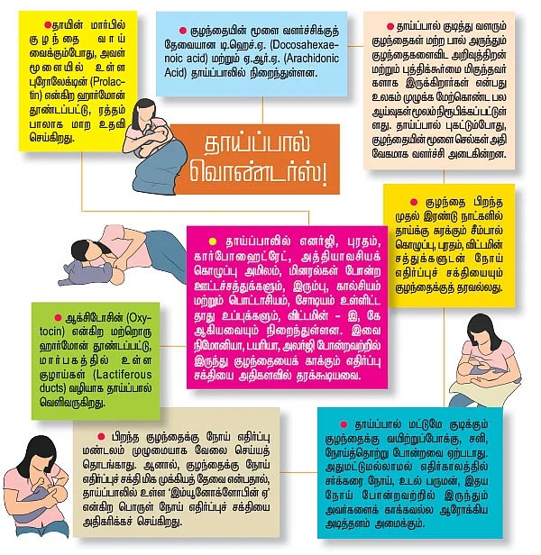 இன்னொரு பால் நிகராகுமோ..?