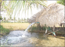 நீங்கள் கேட்டவை