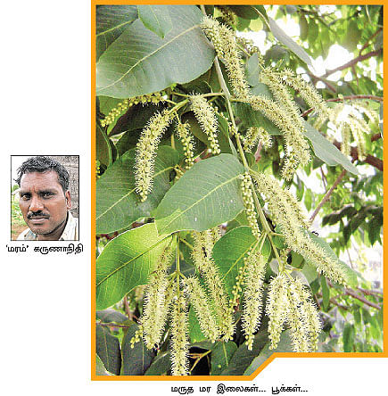 நீங்கள் கேட்டவை