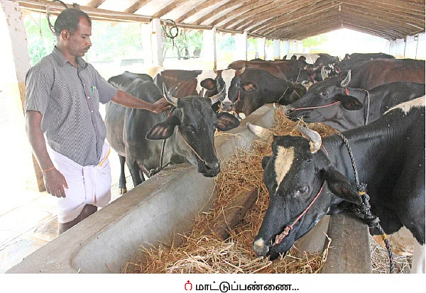 நெல், வாழை, தென்னை, கால்நடை... தபோவனத்தில் தழைக்கும் விவசாயம்!