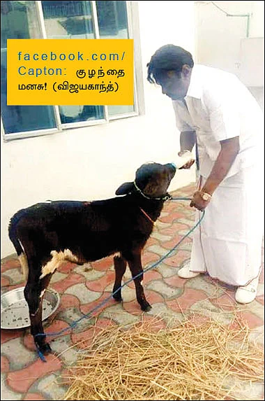 வலைபாயுதே
