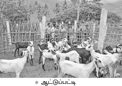 ’ஒரு நாள் விவசாயி!’