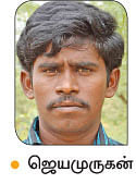 சீமைக்கருவேல்... வரமா... சாபமா ..?