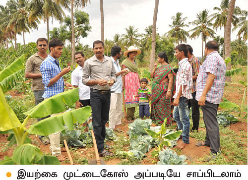 ’ஒரு நாள் விவசாயி!’