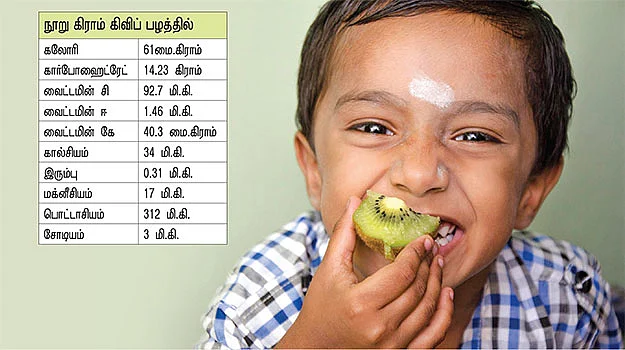 கொழுப்பைக் குறைக்கும் கிவிப் பழம்!