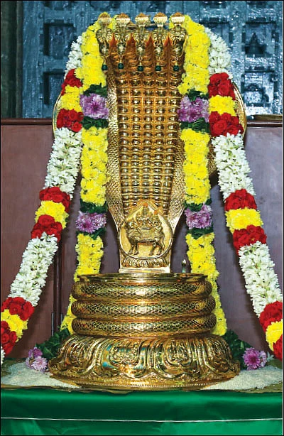 விழாக்கள்... விசேஷங்கள்! - ஸ்ரீகபாலீஸ்வரருக்கு தங்க நாகாபரணம்!