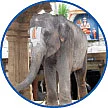 உன்னையே நீ அறி!