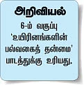 தேனீ வளர்ப்பைத் தெரிந்துகொள்வோம் !