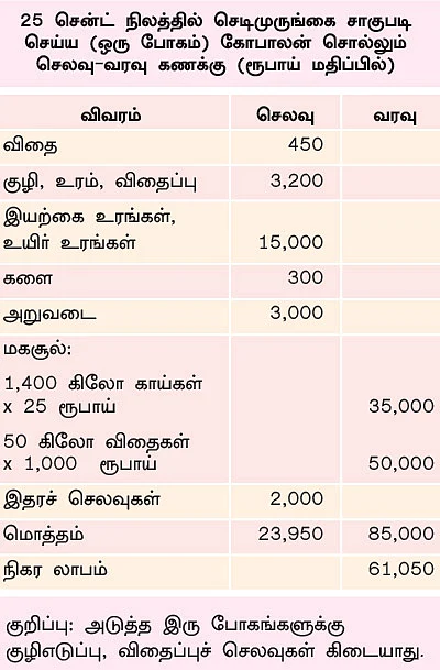 25 சென்ட்... ரூ 85 ஆயிரம்...! செழிப்பான வருமானம் கொடுக்கும் செடிமுருங்கை