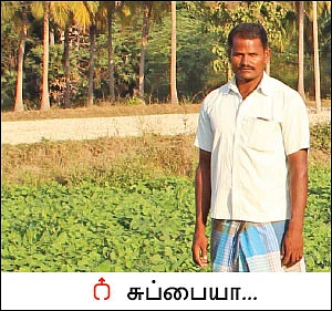 பயறு, பால், பஞ்சகவ்யா... - ‘பலே’ லாபம் எடுக்கும் உற்பத்தியாளர் நிறுவனம்...