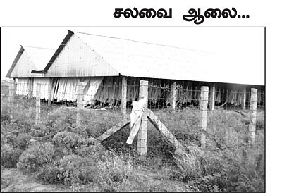 நியாயம் கேட்டால் கொலை மிரட்டல் வழக்கு!