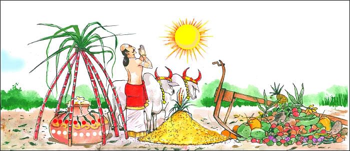 மண்புழு மன்னாரு: மாட்டுக்கு உயிர்கொடுத்த இளநீர்!
