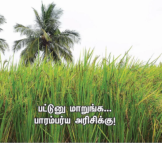 பட்டுனு மாறுங்க... பாரம்பர்ய அரிசிக்கு!