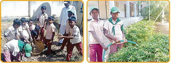 தேர்வை இனிமையாக்கும் கல்வி இணைச் செயல்பாடுகள் !