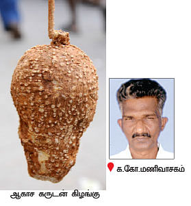 நீங்கள் கேட்டவை : 'பண்ணை வீடுகளில் பாம்புகள் நுழைவதை எப்படி தவிர்ப்பது?'