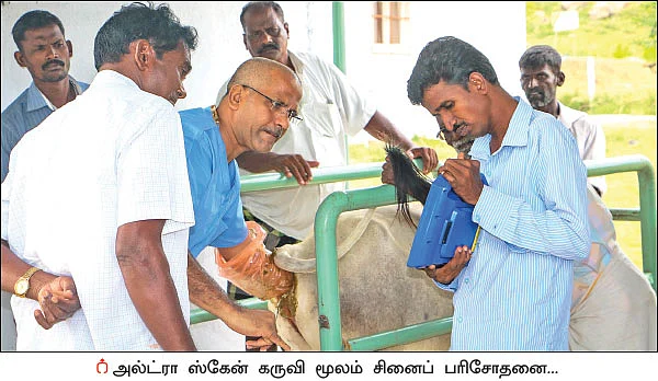 குறைந்த கட்டணத்தில் கால்நடைகளுக்கு மருத்துவம்!