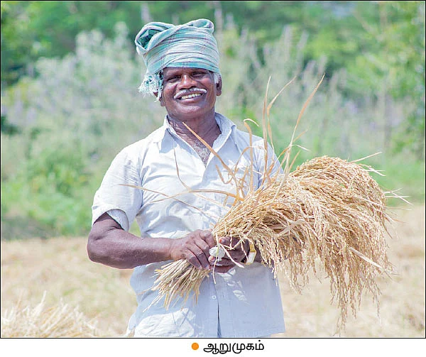 ‘கள்ளிமடையான்’ களர், உவர் மண்ணுக்கு ஏற்றது!