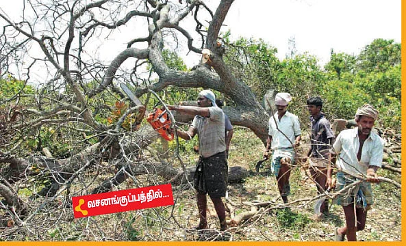 'தானே' துயர் துடைத்தோம்!