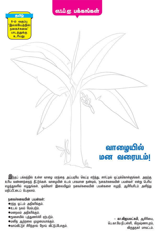 வாழையில் மன வரைபடம் !