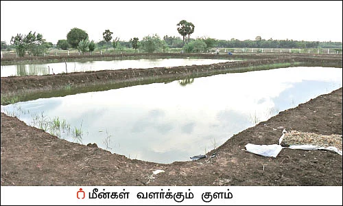 பத்து ஏக்கர் நிலத்தில் ஒரு பசுமைப் பண்ணை!