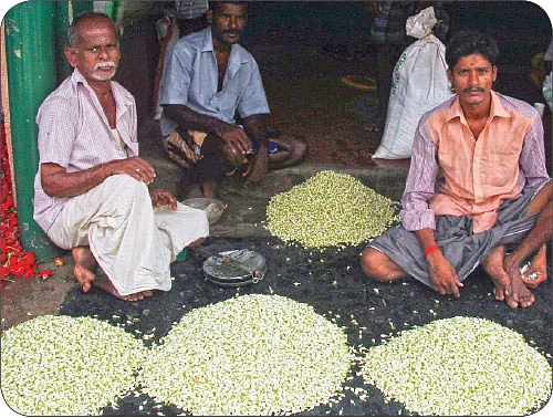 பாசம் வைக்க... நேசம் வைக்க... வாழ வைக்க... - மதுரை